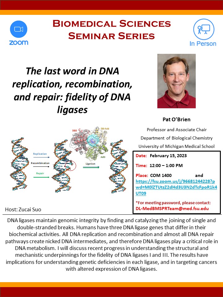 The last word in DNA replication, recombination, and repair